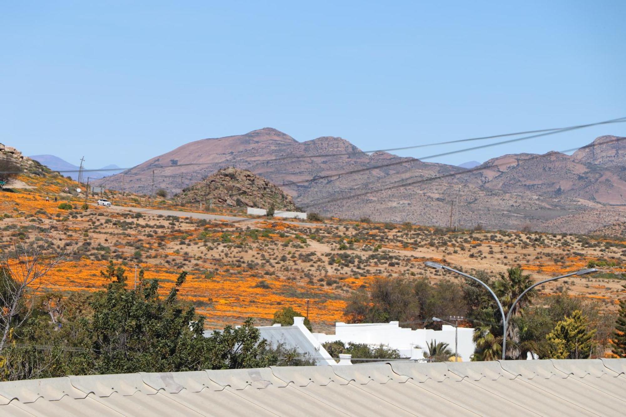 Du Repos Daire Springbok Dış mekan fotoğraf